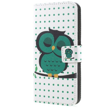 Coruja adormecida Samsung Galaxy S9 Case Sleeping Owl