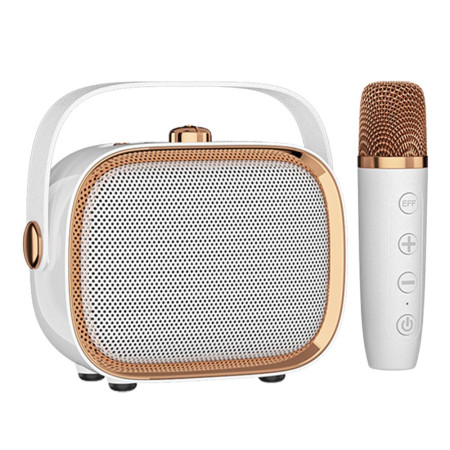 Altifalante e microfone...