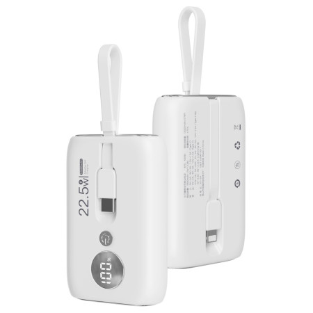 Bateria externa ROISKIN...